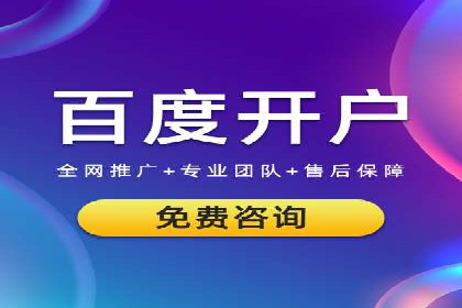 行业领先企业的SEM运营推广实战
